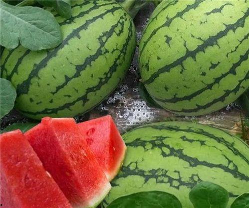 吃瓜网怎么进,轻松入门，畅享娱乐资讯盛宴