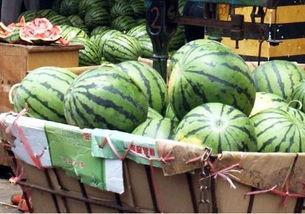 定州市吃瓜网招聘,共筑新媒体招聘盛宴