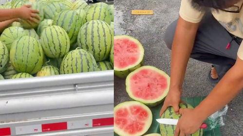 吃瓜网怎么打不开,吃瓜网无法访问的幕后真相