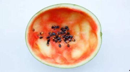 网红吃瓜大勺子图片大全,盘点趣味横生的美食瞬间