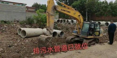 网红青蛙做吃瓜群众,揭秘娱乐圈幕后风云