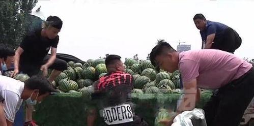 文安吃瓜网红事件,揭秘网络舆论背后的真相