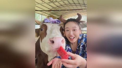 牛牛吃瓜网,揭秘娱乐圈幕后故事，带你走进明星真实生活