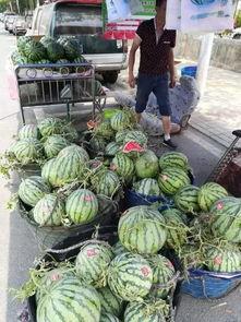 武都网红吃瓜事件真相,真相背后的网络狂欢与反思