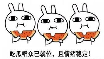 网语 吃瓜 啥意思,揭秘“吃瓜”背后的网络文化现象