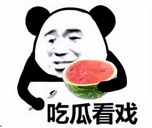 网语 吃瓜 啥意思,揭秘“吃瓜”背后的网络文化现象