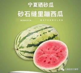 南昌网红吃瓜,揭秘城市美食圈的热辣话题