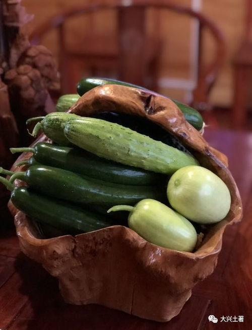 黑吃瓜的网红,揭秘网络红人的暗黑面