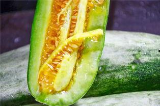 黑吃瓜的网红,揭秘网络红人的暗黑面