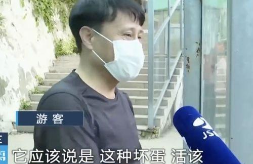 网红霸凌吃瓜男主是谁啊