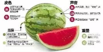 临沧网红吃瓜群微信,揭秘网络社交圈的趣味与争议