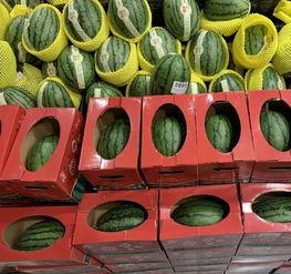 大学生资源吃瓜网,揭秘校园生活热点，畅享青春资讯盛宴