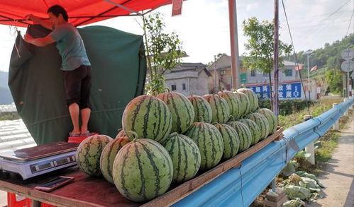 安溪网红吃瓜事件视频曝光