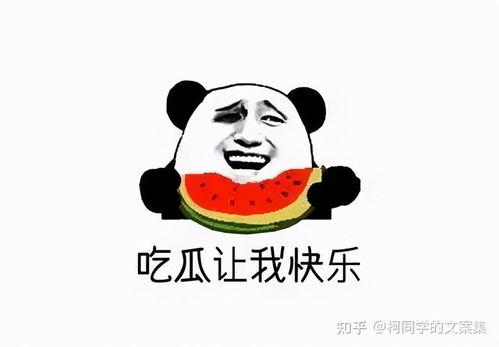 网红吃瓜微信文案搞笑,笑料横飞，微信文案带你领略“瓜界”风云