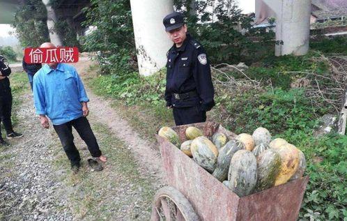 甘谷网红吃瓜事件真相视频,揭秘真相背后的惊人内幕