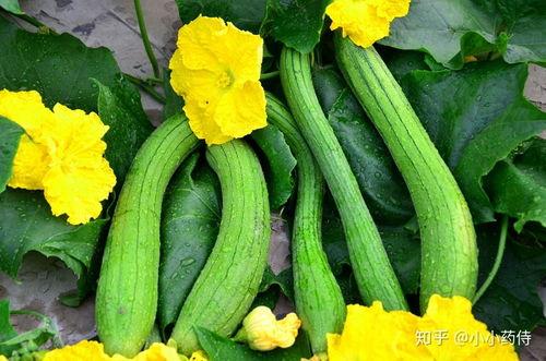 吃瓜网heiliao168su,热门话题背后的真相与趣味