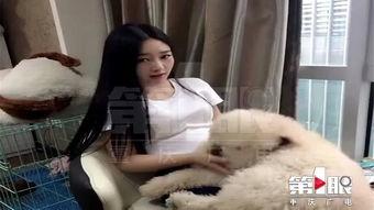 网红狗子张悦吃瓜图片,萌态十足引网友热议