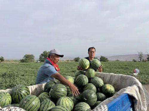 17c吃瓜官网入口,带你领略最新娱乐资讯的入口门户