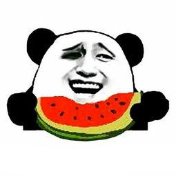 大熊的吃瓜日 百度网盘,揭秘百度网盘的趣味时光