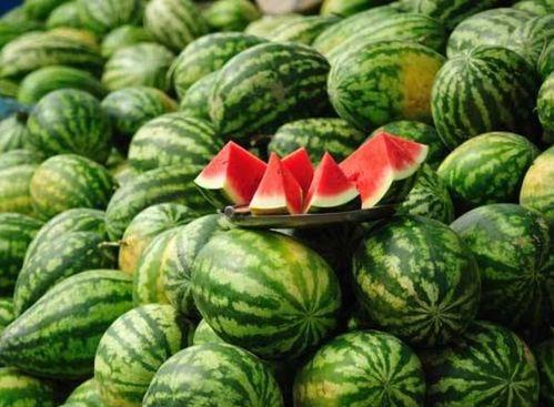 网红爆款吃瓜神器是什么,吃瓜神器背后的秘密