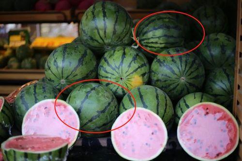 吃瓜学生网红东北,揭秘东北网红背后的故事