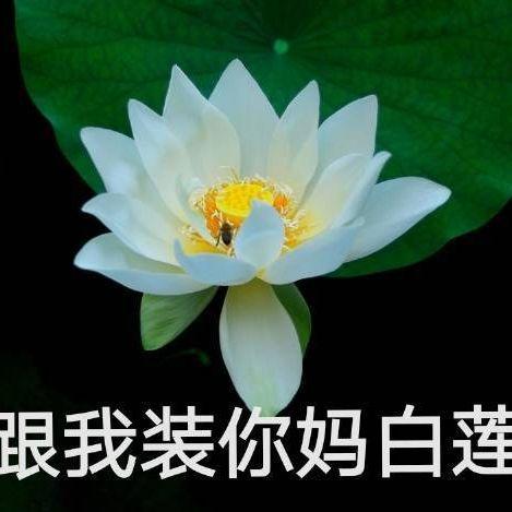 吃瓜网红八卦图,吃瓜图背后的惊人真相