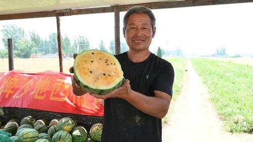 亳州最新吃瓜新闻报道网,揭秘网络热议事件背后的真相