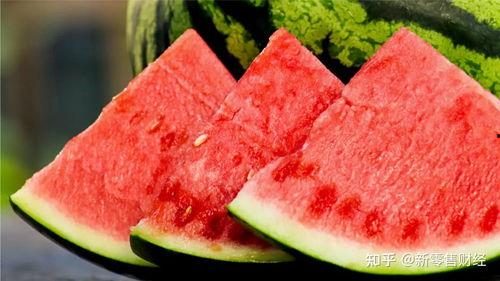 吃瓜2021网红,网络红人的崛起与影响