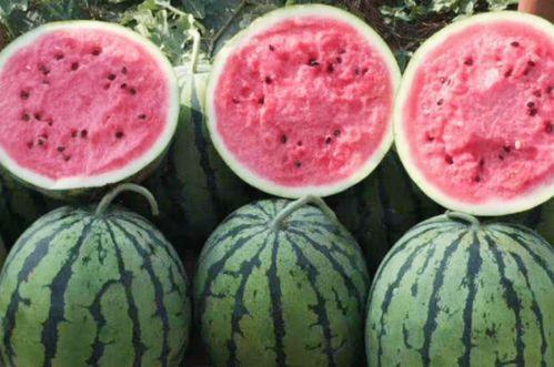 网红吃瓜在哪买的东西啊