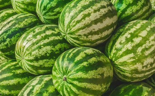 网红吃瓜在哪买的东西啊