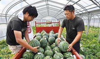 中国网红吃瓜被老板打