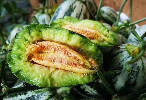 山东网红吃烧瓜,传统美食新风尚