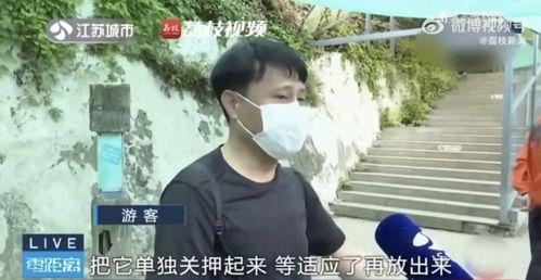 网红吃瓜兄妹是谁啊,网络红人的双胞胎传奇
