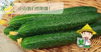 66吃瓜网 免费吃瓜,免费吃瓜，畅享娱乐盛宴！