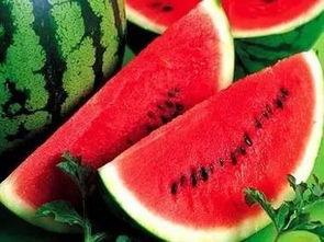 吃瓜网是什么类的网,聚焦娱乐圈热点，畅享八卦盛宴