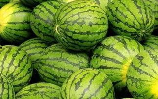 吃瓜网是什么类的网,聚焦娱乐圈热点，畅享八卦盛宴