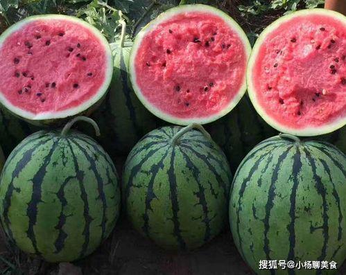 吃瓜网今日首页,揭秘娱乐圈最新热点事件