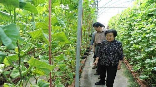 吃瓜网今日首页,揭秘娱乐圈最新热点事件