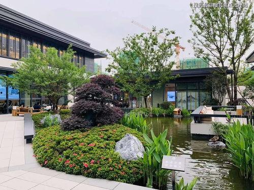 枣庄吃瓜协会官网电话是多少,官方电话号码大公开