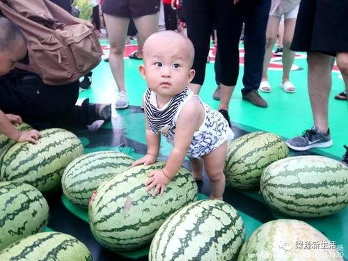 吃瓜情报局官网入口,官网入口带你探秘娱乐圈幕后风云