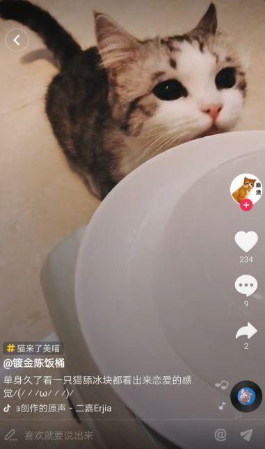 吃瓜猫抖音网红