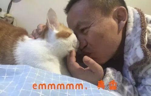 吃瓜猫抖音网红