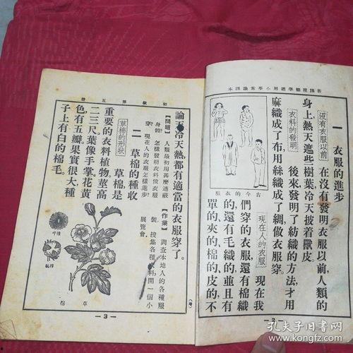 穿越民国吃瓜看戏txt宝书网,穿越宝书网，吃瓜看戏TXT全记录