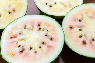 和县网红吃瓜事件真相揭秘