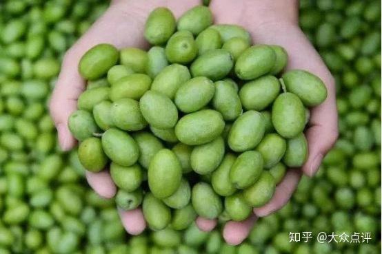 陇南网红吃瓜内容,揭秘当地美食背后的故事